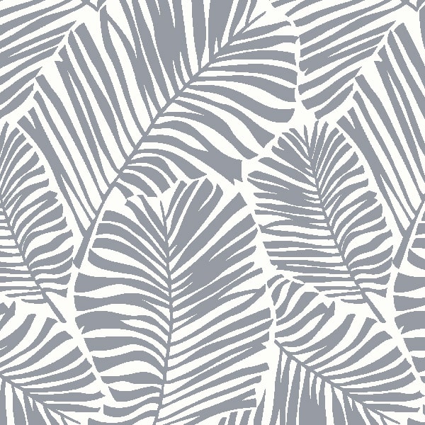 Kentia T
