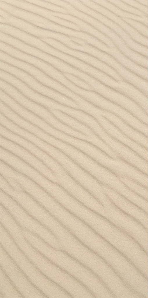 Paradiso V