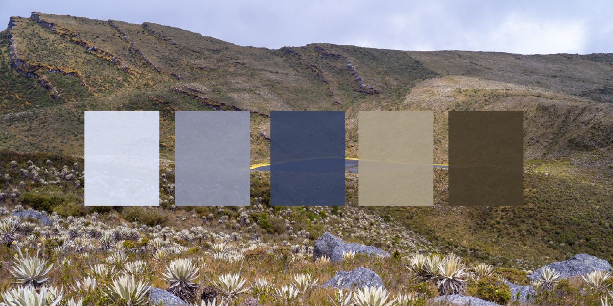 paleta nh
