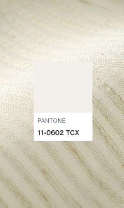 COLORES VELO ZEN - 11-0602 TCX
