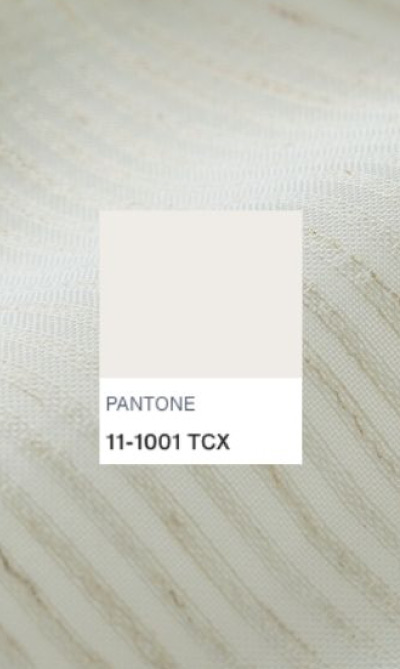 COLORES VELO ZEN - 11-1001 TCX